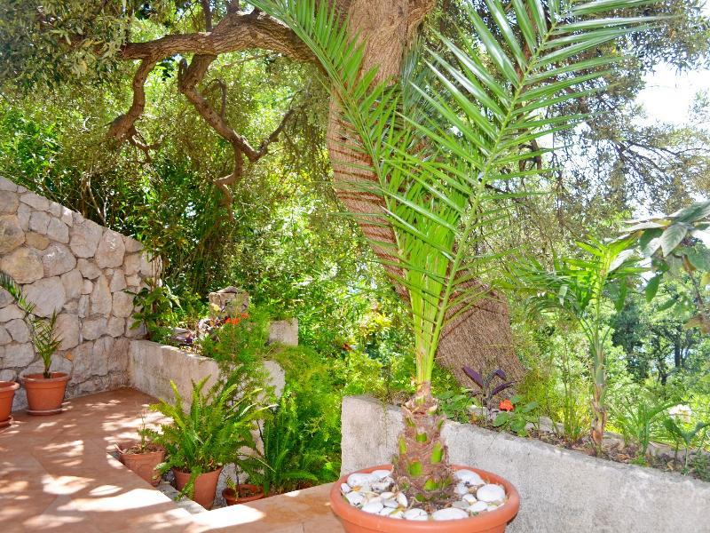 דוברובניק Apartments Martiva מראה חיצוני תמונה